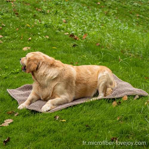 Serviettes de bain pour animaux de compagnie propres et absorbantes chenille en microfibre